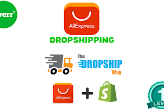 build shopify  aliexpress dropshipping store