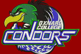 do best embroidery digitizing