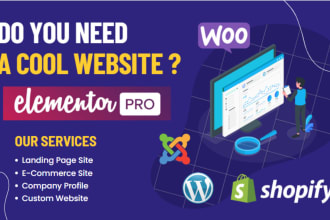 help you with wordpress, joomla, shopify, entire website