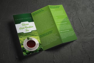 create tri fold brochure design in 24hrs