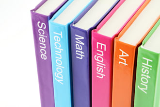 provide lesson plan feedback for your demo or observation lesson