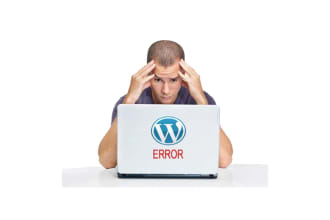 fix wordpress errors, issues and customization