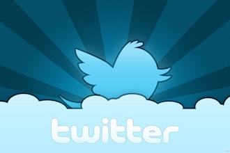 deliver 20,000 Real Looking Twitter Followers