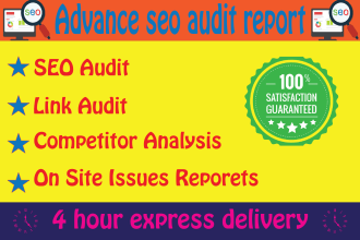 provide you advance detailed seo audit report