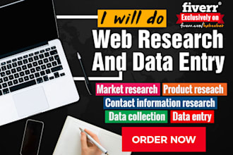do perfect web research and excel data entry work