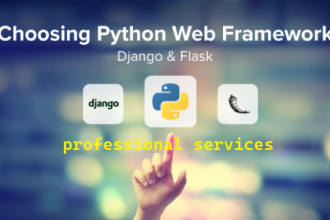 develop python django and flask web application