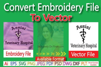 convert embroidery file to vector