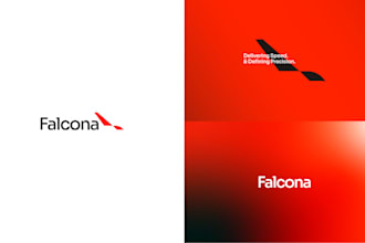 design a professional logo, brand book, brand identity and full branding kit