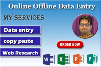 do data entry, data analysis for your business