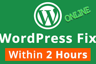 professionally debug and fix your wordpress website errors