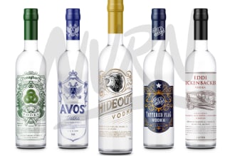 make label design for beer, vodka, gin, wine and others