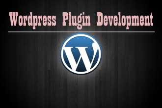 develop custom plugins, widgets and wordpress themes