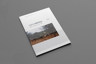 do professional company profile design