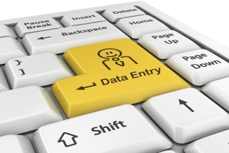 do big data entry, data mining and data analysis
