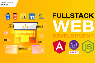 do web application development in angular nodejs aspnet core