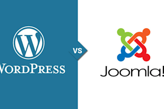 install wordpress or joomla theme and setup demo