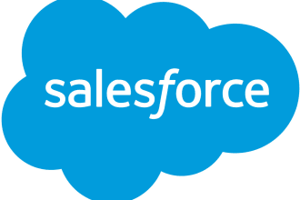 help with salesforce custom development based in the USA
