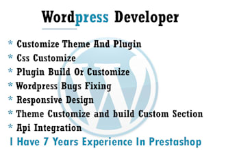 customize wordpress with css and theme , plugin customize