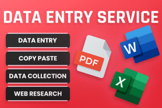 do data entry work on excel and web research