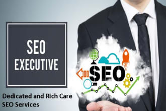 be SEO person and provide quality assistance
