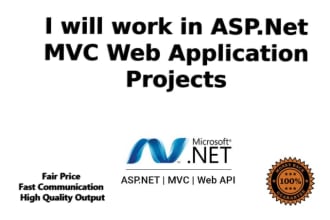build custom web application in asp net mvc asp net core