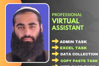 be your fastest VA for data entry, web research and excel work