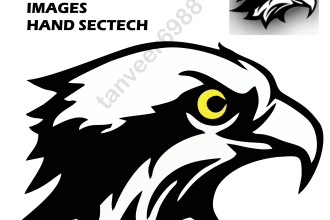 redraw your logo into vector ai eps  svg cdr psd gif