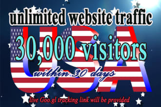 send super targeted,usa,traffic, website,unique,visitors