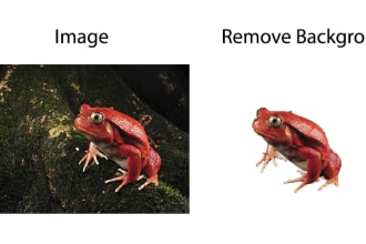 remove background,add reflection,retouch your image