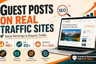 publish niche relevant guest posts on real traffic blogs