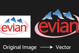 convert any jpg or png image into a vector within 4 hours