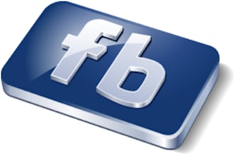 give 500+ Facebook Likes