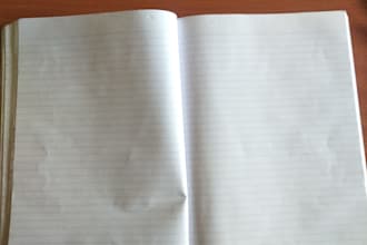 write your legal work, case briefs and business law