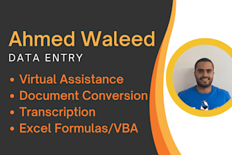 do data entry, web research, excel and power bi tasks