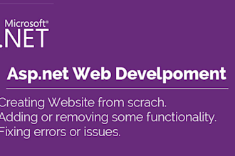 develop and fix asp net core web applications