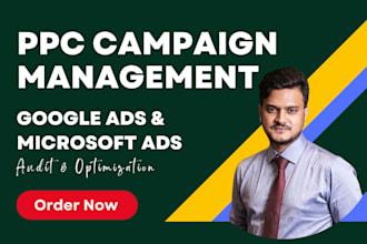 audit optimize and manage bing or google ads PPC campaign
