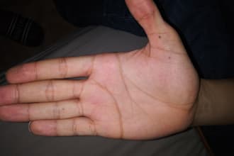 give you a palm reading