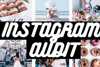 perform a professional instagram audit