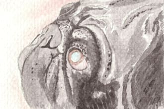 create a small painting of your Pug from your photo