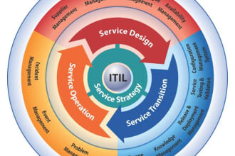 provide itsm and itil consultation