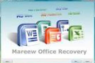 do any work related to excel, word, pdf, access, powerpoint or solve your problem related to this and I can make fillable form also