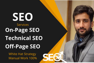 do on page SEO, off page and technical optimization of wordpress website