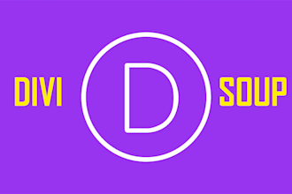 customize the divi theme only for 30 dollars