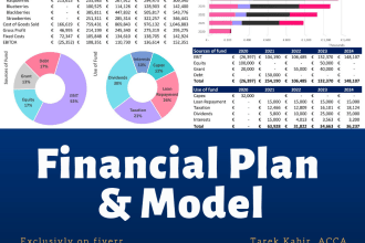 create financial models, forecasts, cash flow analysis, and business plan