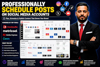 professionally schedule posts on social media accounts
