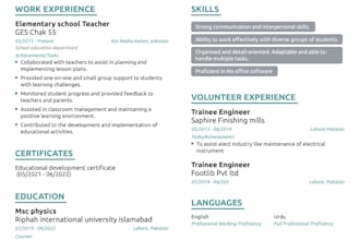 professional resume writing service  fast delivery