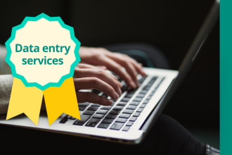 any data entry job only 6 hours word or adobe illustrator