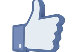 drip feed 40 REAL facebook fans/likes to your facebook page or website
