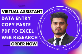 do data entry, copy paste, web research, typing and excel data entry jobs