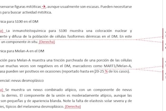 proofread and edit your text in spanish